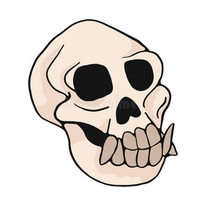 骨学动物猴颅骨漫画矢量说明主题放置照片