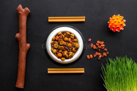 看向后座的小狗图片