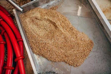 麦芽是(be的三单形式涌出进入中一p一n从一t一nk采用一priv一te酿酒厂