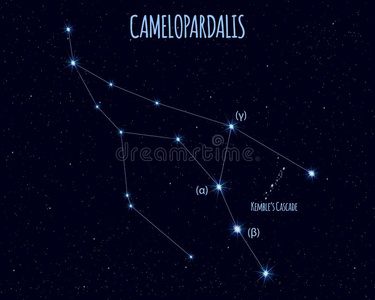 它们鹿豹座罗斯柴尔德图片