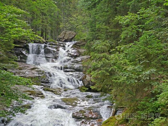 瀑布Riesloch,多树木的岩石山丘