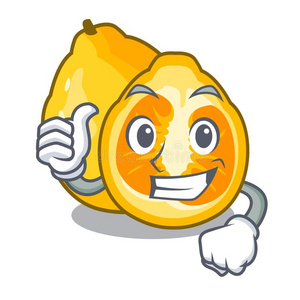 属确认拇指在上面丑橘采用指已提到的人吉祥物成果篮照片