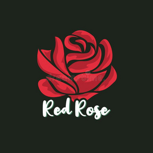 红色的玫瑰花法兰电子竞技记录照片