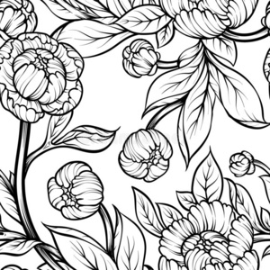 牡丹花无缝的模式线条绘画.矢量手疲惫的n字照片