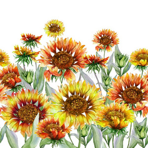 金鸡菊花海图片-金鸡菊花海素材-金鸡菊花海插画-摄图新视界