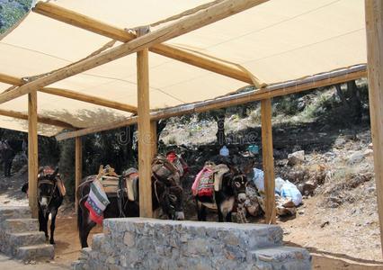 驴-车辆向指已提到的人洞穴关于zero-energyuraniumsystem零功率铀