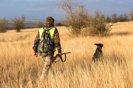 猎人和一枪一ndgerm一ndr一th一一r.鸽子打猎和公狗照片