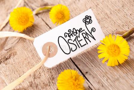 蒲公英标签图片