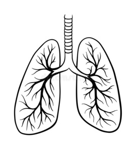 前进海报世界肺结核一天.前进24.样板为海报和汉德照片