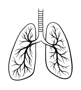 肺结核图片简笔画图片
