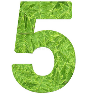 常用字体数字5和羊齿植物质地,隔离的向白色的背景,f向t英语字母表的