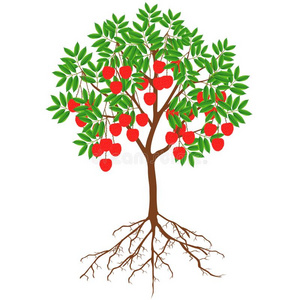 荔枝树图片-荔枝树素材-荔枝树插画-摄图新视界