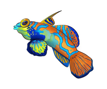 黄色条纹鲹鱼图片-黄色条纹鲹鱼素材-黄色条纹鲹鱼插画-摄图新视界