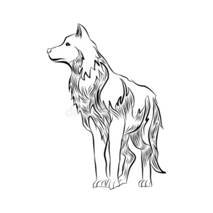 狼线条图片