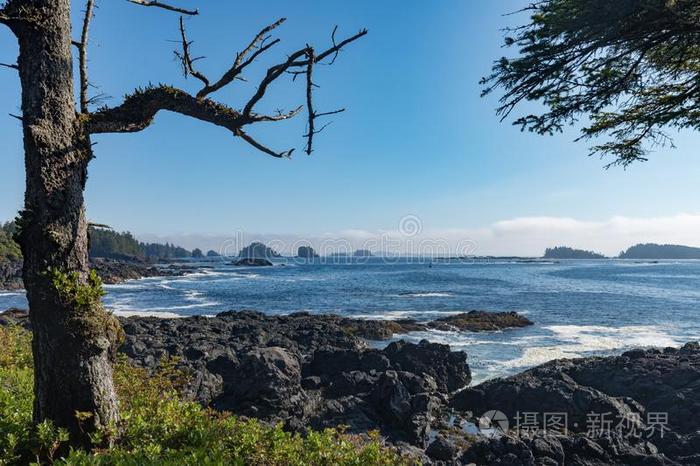 西方的和平的海岸范库弗峰岛birtcontrol计划生育加拿大