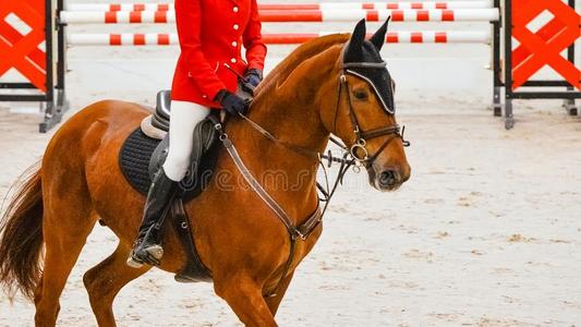 关公骑马壁纸图片