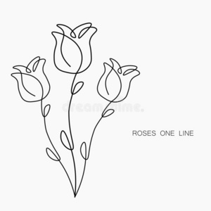 线条玫瑰花图片