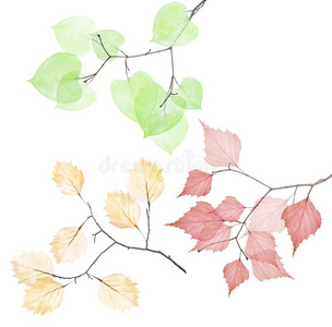 小干树枝图片-小干树枝素材-小干树枝插画-摄图新视界