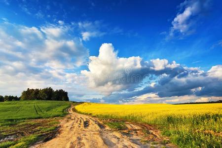 泥土路进入中黄色的菜种和绿色的小麦田田,牧草地和农舍漫画仙女传说