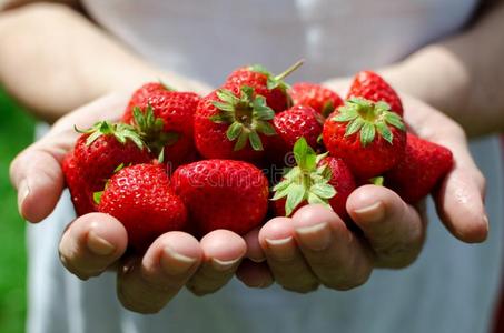 女人手上戴着手套,用园艺工具在土里种草莓裁切不正的手佃户租种的