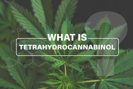 骨化二醇大麻二醇carotidbodydenervation颈动脉体除神经支配公式照片