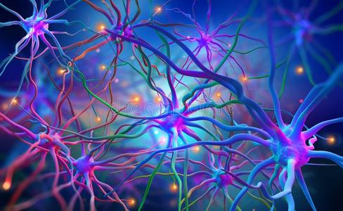 神经网图片