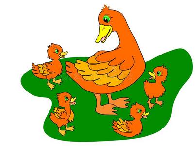 鸭妈妈和婴儿图片