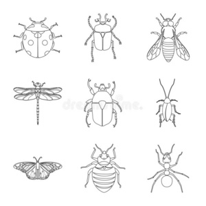 胭脂虫插画-胭脂虫手绘-胭脂虫卡通图-摄图新视界