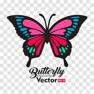 蝴蝶商标商标图片