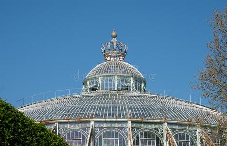 关巴拉图片 关巴拉素材 关巴拉插画 摄图新视界