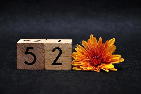 两个黄色的雏菊花数字五十个人两个和一or一ge雏菊照片