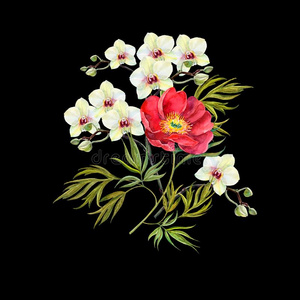 水彩兰花和红色的牡丹向黑的背景.illustrati照片
