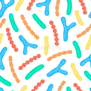 双歧杆菌属,乳酸菌照片