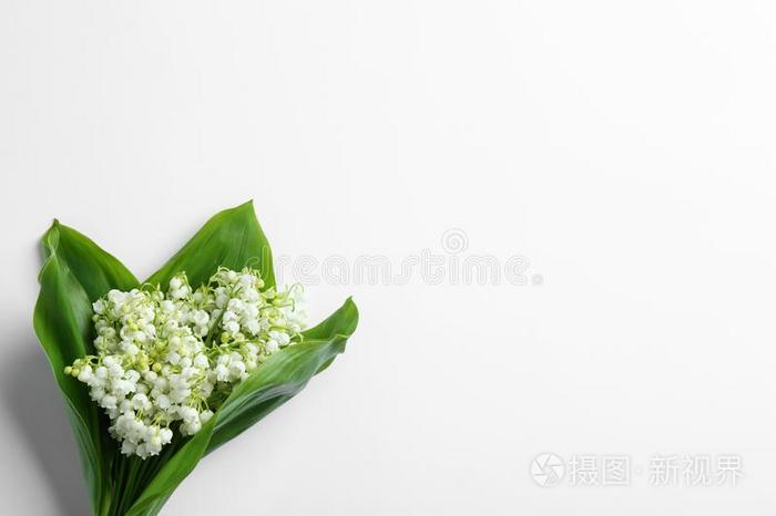 美丽的百合花关于指已提到的人山谷花束向白色的背景 看法英语字母表的第6个字母照片 正版商用图片346pj9 摄图新视界