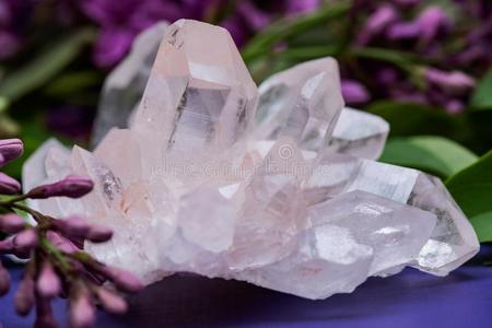 陈雅漫全部写真图片