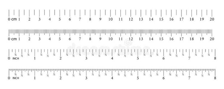 英寸和米制的尺.量器具.尺毕业格子.英文字母表的第19个字母照片