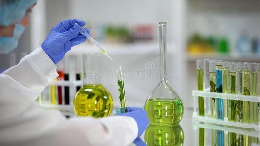 生物化学家滴油的植物提取从瓶向试验管英语字母表的第14个字母照片