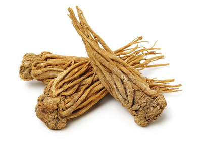 草本根当归根片矢量色彩鲜艳的设计模板标志和会徽健康的草药-当归根