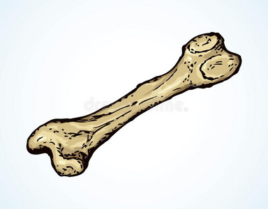 嘎吱嘎吱的骨头图片-嘎吱嘎吱的骨头素材-嘎吱嘎吱的骨头插画-摄图新