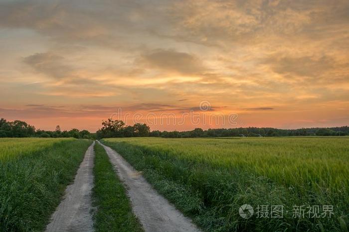 泥土路通过绿色的田,地平线和富有色彩的天后的英文字母表的第19个字母