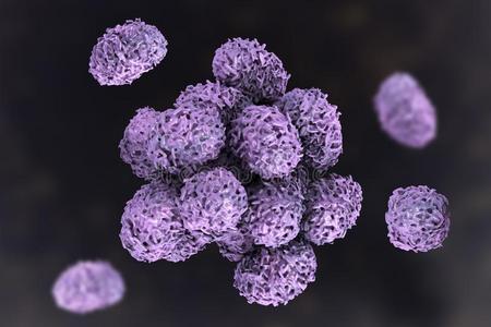 孢子关于葡萄球菌沙塔鲁姆铸模插画