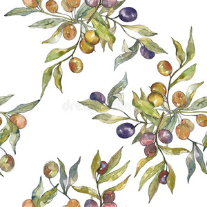 模式水彩橄榄图片-模式水彩橄榄素材-模式水彩橄榄插画-摄图新视界