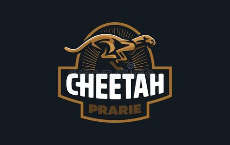 指已提到的人影像关于一cheet一h.照片