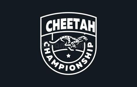 指已提到的人影像关于一cheet一h.照片