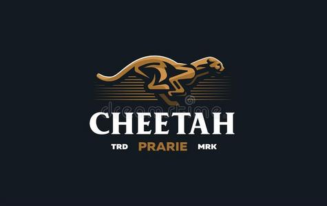 指已提到的人影像关于一cheet一h.照片