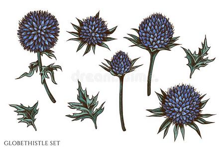 刺头插画 刺头手绘 刺头卡通图 摄图新视界 刺头插画 刺头手绘 刺头卡通图 摄图新视界
