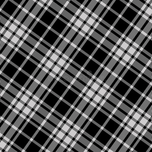 格子呢模式采用黑的和白色的.质地为彩格呢,表块照片