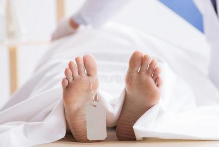 火化的死尸图片