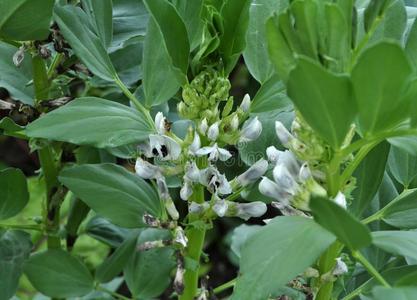 三人基友名图片