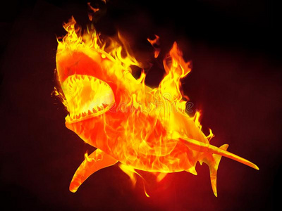 精神鲨鱼采用火焰burn采用g热的照片